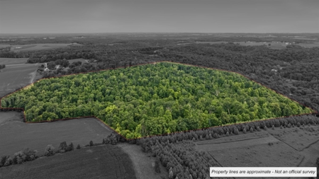 47± Acre Hunting Property with Cabin | Vernon County, Wisconsin - image 2