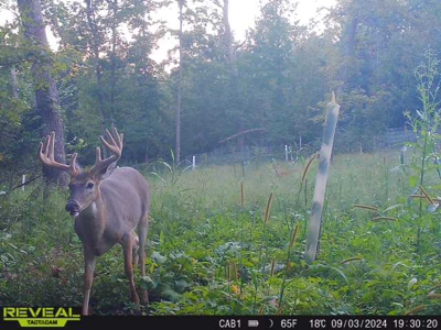 47± Acre Hunting Property with Cabin | Vernon County, Wisconsin - image 25