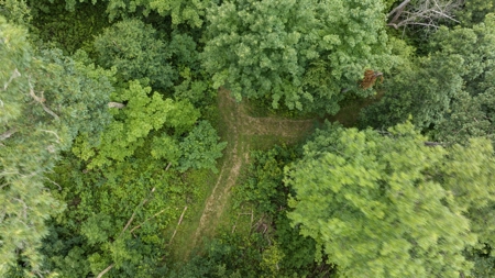 47± Acre Hunting Property with Cabin | Vernon County, Wisconsin - image 34