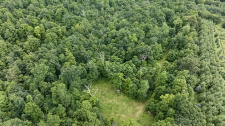 47± Acre Hunting Property with Cabin | Vernon County, Wisconsin - image 42