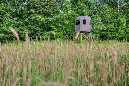 47± Acre Hunting Property with Cabin | Vernon County, Wisconsin - image 40