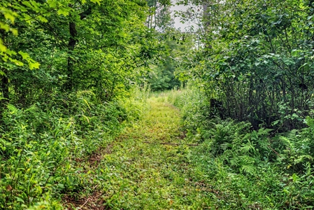 47± Acre Hunting Property with Cabin | Vernon County, Wisconsin - image 31