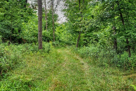 47± Acre Hunting Property with Cabin | Vernon County, Wisconsin - image 28