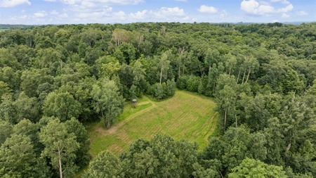 47± Acre Hunting Property with Cabin | Vernon County, Wisconsin - image 37