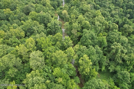 140± Acres in West Feliciana Parish, LA - image 22