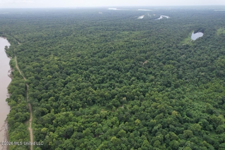 140± Acres in West Feliciana Parish, LA - image 21