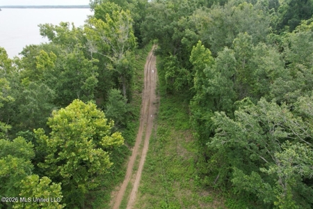 140± Acres in West Feliciana Parish, LA - image 26