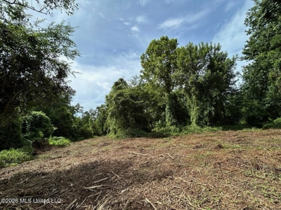 140± Acres in West Feliciana Parish, LA - image 41