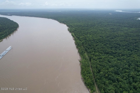 140± Acres in West Feliciana Parish, LA - image 19