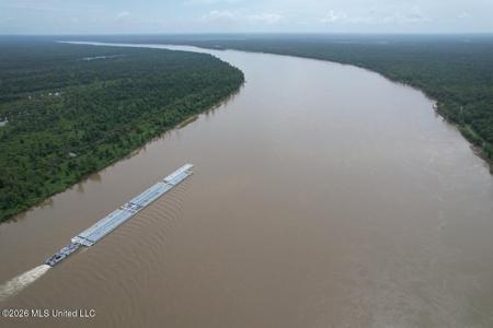 140± Acres in West Feliciana Parish, LA - image 15