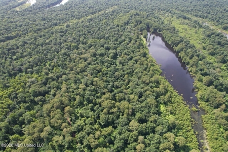 140± Acres in West Feliciana Parish, LA - image 6