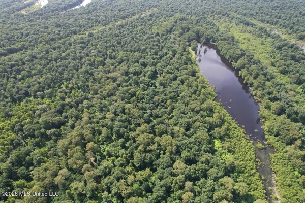 140± Acres in West Feliciana Parish, LA