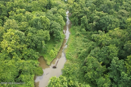 140± Acres in West Feliciana Parish, LA - image 24