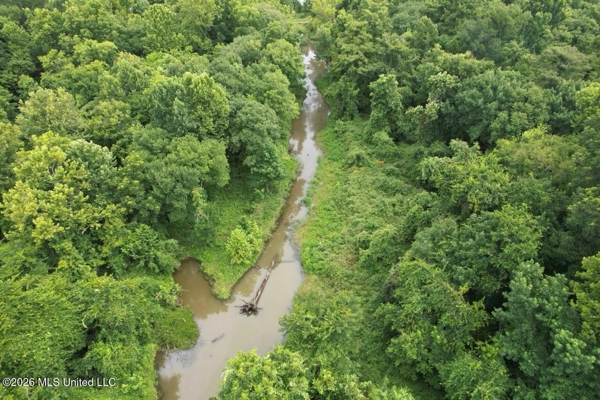 140± Acres in West Feliciana Parish, LA