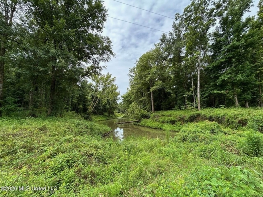 140± Acres in West Feliciana Parish, LA