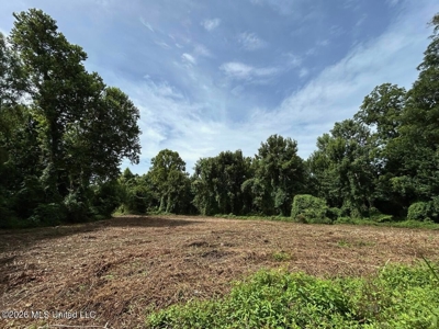 140± Acres in West Feliciana Parish, LA - image 40