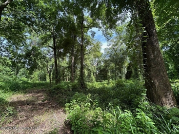 Listing 87