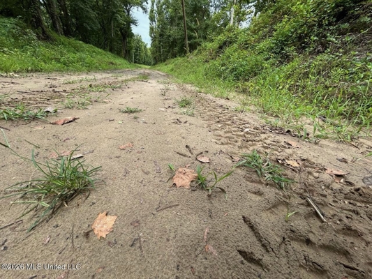 140± Acres in West Feliciana Parish, LA