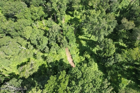 140± Acres in West Feliciana Parish, LA - image 1