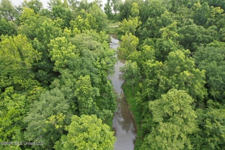 140± Acres in West Feliciana Parish, LA - image 25