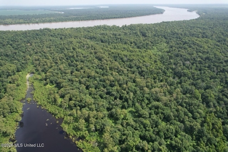 140± Acres in West Feliciana Parish, LA - image 8