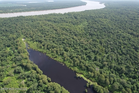 140± Acres in West Feliciana Parish, LA - image 10