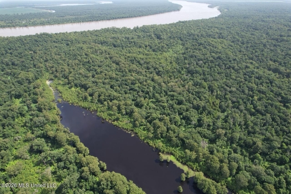 140± Acres in West Feliciana Parish, LA