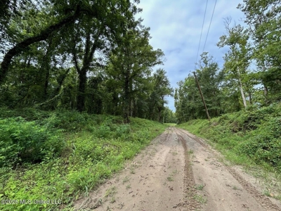 140± Acres in West Feliciana Parish, LA - image 43