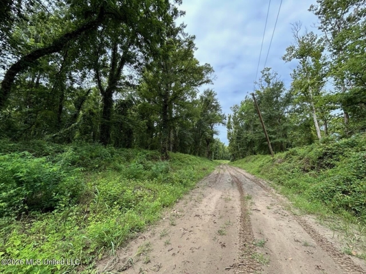 140± Acres in West Feliciana Parish, LA