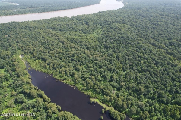140± Acres in West Feliciana Parish, LA