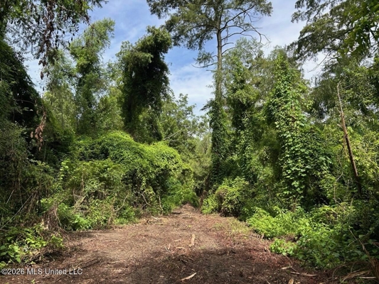 140± Acres in West Feliciana Parish, LA