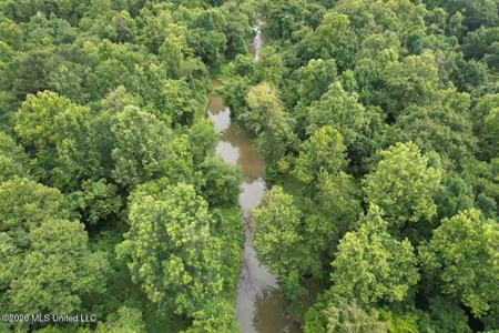 140± Acres in West Feliciana Parish, LA - image 23