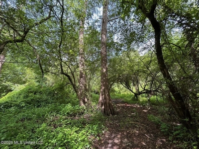 140± Acres in West Feliciana Parish, LA - image 32