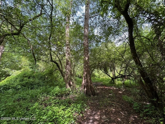 140± Acres in West Feliciana Parish, LA
