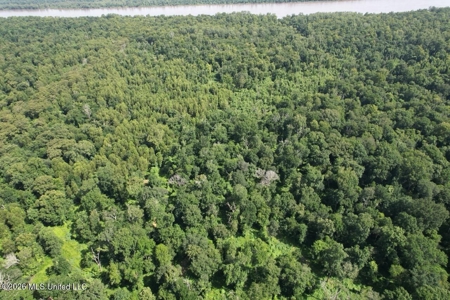 140± Acres in West Feliciana Parish, LA - image 3