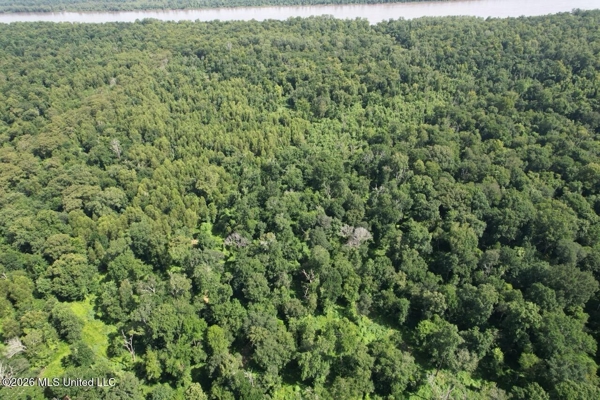 140± Acres in West Feliciana Parish, LA