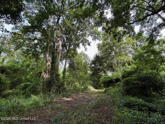 140± Acres in West Feliciana Parish, LA