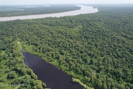 140± Acres in West Feliciana Parish, LA - image 9