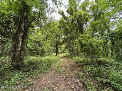 140± Acres in West Feliciana Parish, LA - image 42