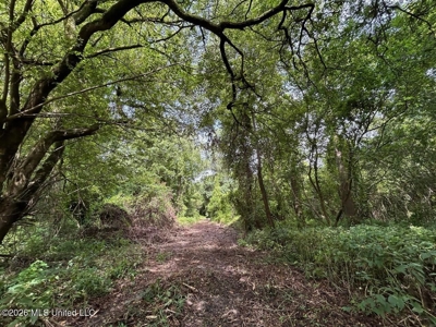 140± Acres in West Feliciana Parish, LA - image 34