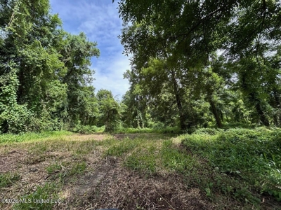 140± Acres in West Feliciana Parish, LA - image 36