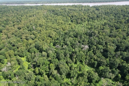 140± Acres in West Feliciana Parish, LA - image 2