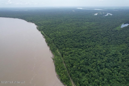 140± Acres in West Feliciana Parish, LA - image 18