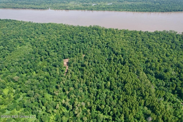 140± Acres in West Feliciana Parish, LA