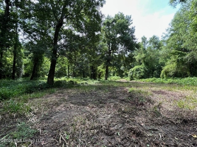 140± Acres in West Feliciana Parish, LA - image 37