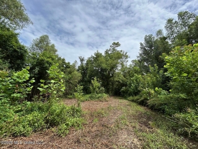 140± Acres in West Feliciana Parish, LA - image 39