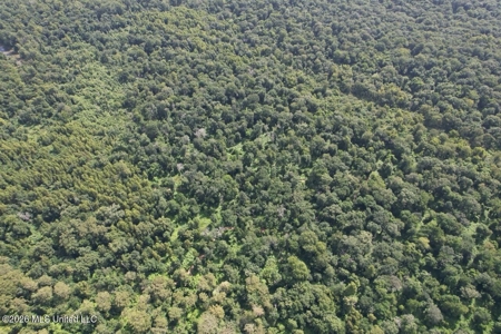 140± Acres in West Feliciana Parish, LA - image 12