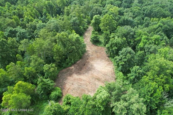 140± Acres in West Feliciana Parish, LA