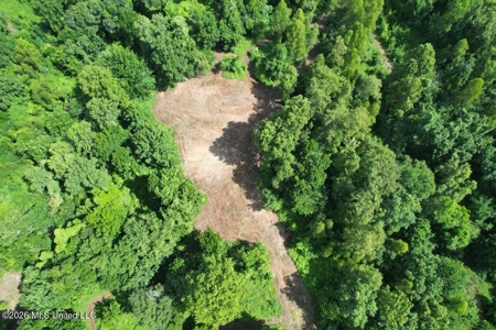 140± Acres in West Feliciana Parish, LA - image 7