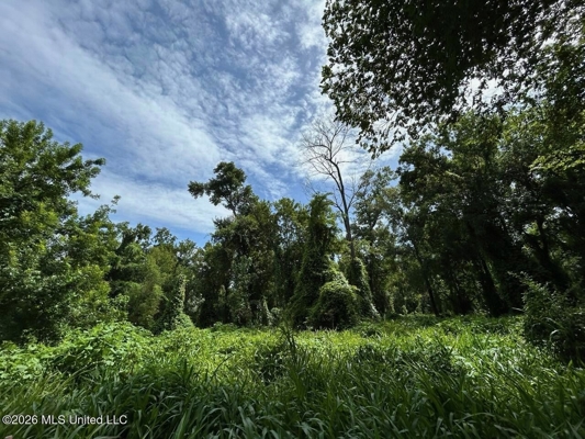 140± Acres in West Feliciana Parish, LA